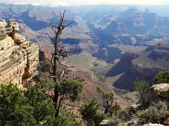 107  USA LE GRAND CANYON 2005_000044